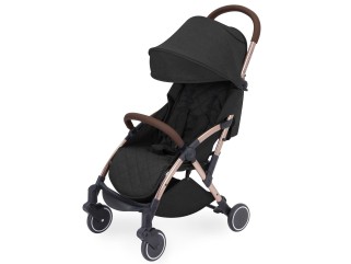 Ickle Bubba Globe Pushchair